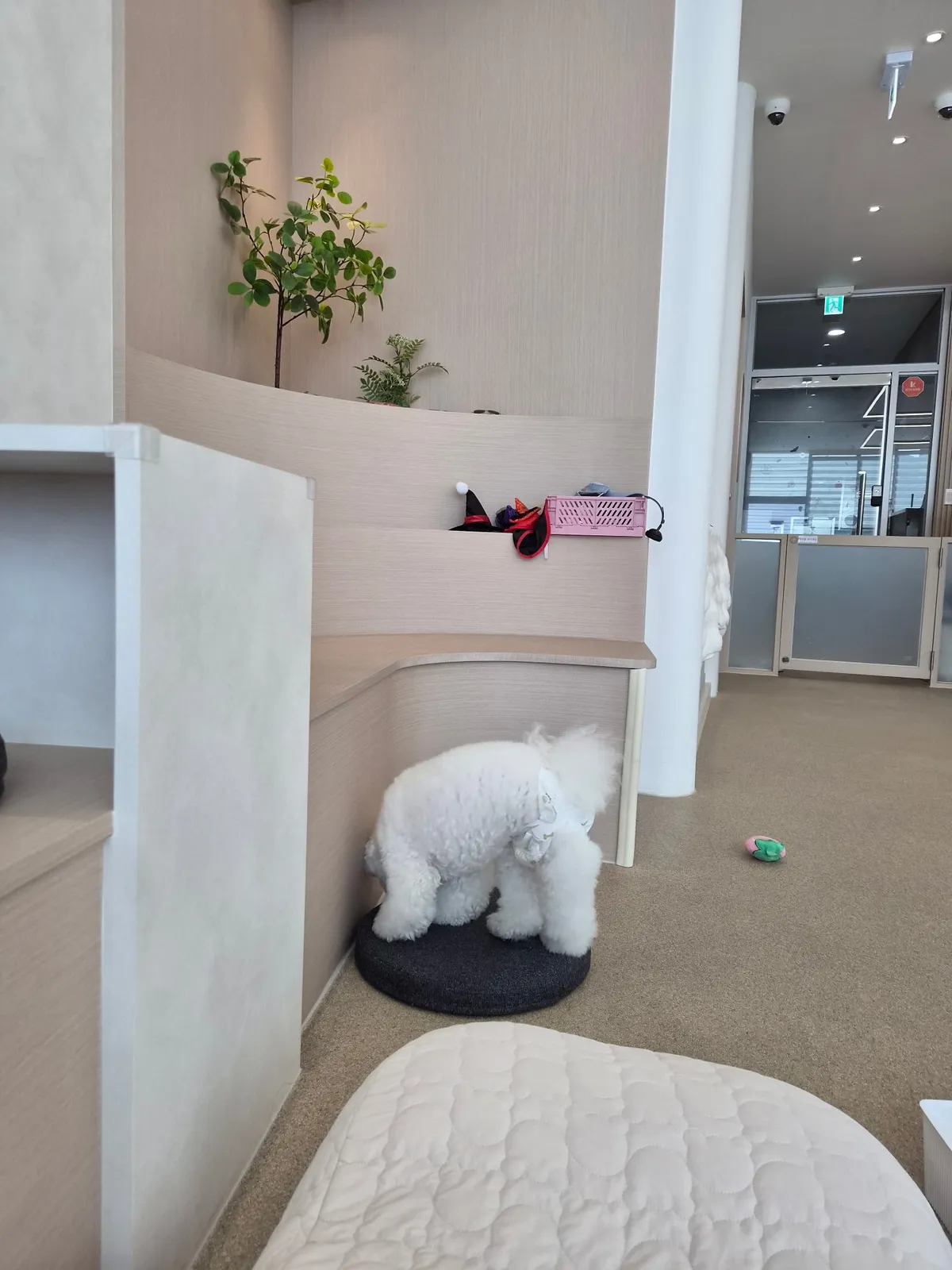 젤리마을 사진 2